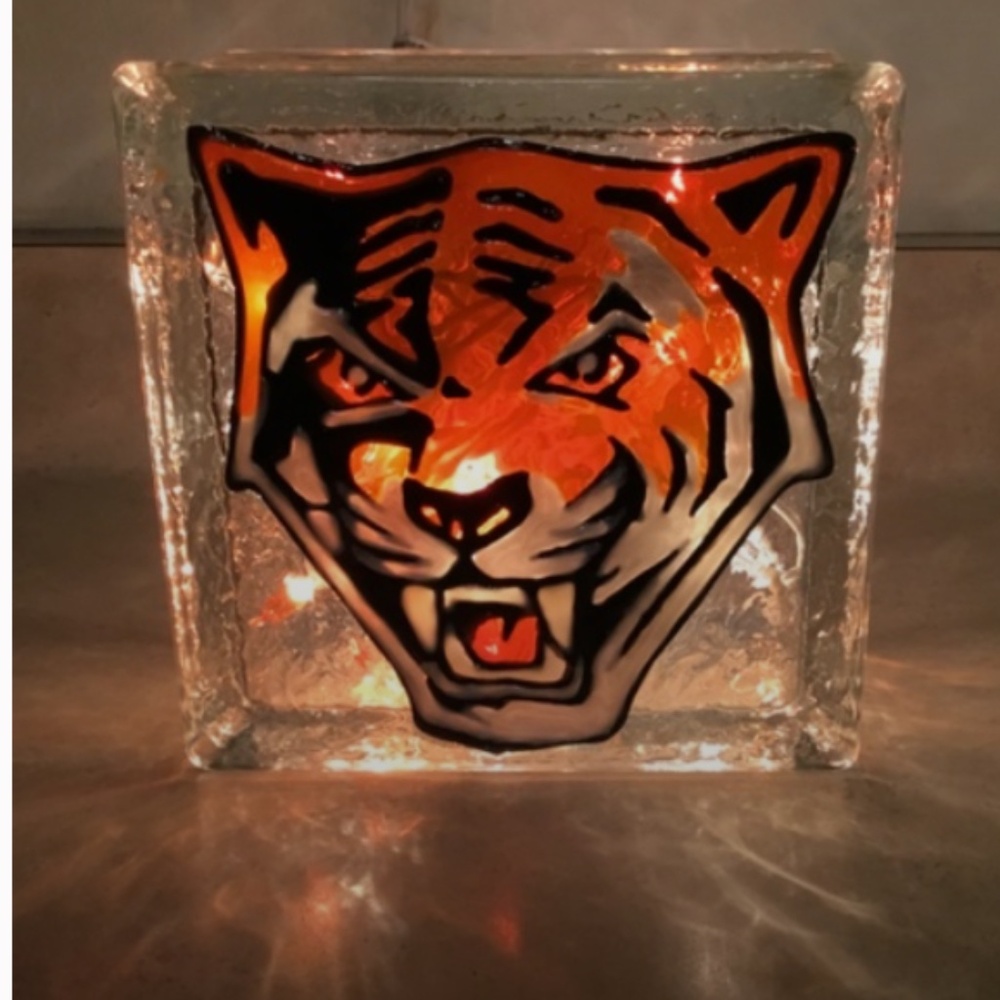 Buffalo State University Tigers Hand Painted Light up block